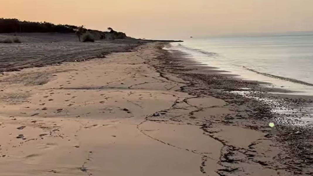 Çanakkale'deki büyük yangının izi Edirne'de: Kıyı şeridi küllerle kaplandı 5